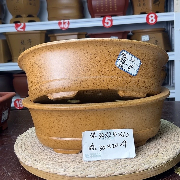 紫砂花盆蛇年大吉