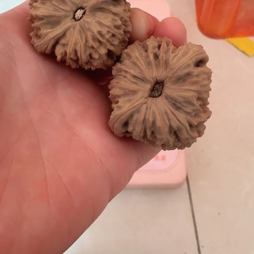 全品南疆石狮子头42