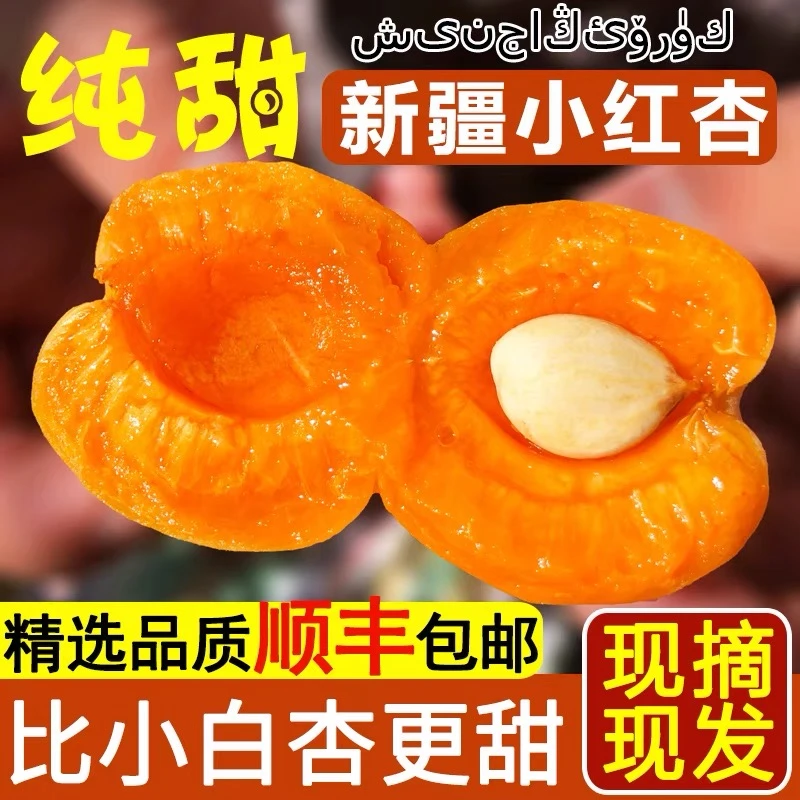 果园直发新疆小红杏吊干杏鲜杏新鲜现采现发软糯香甜汁水足顺丰空
