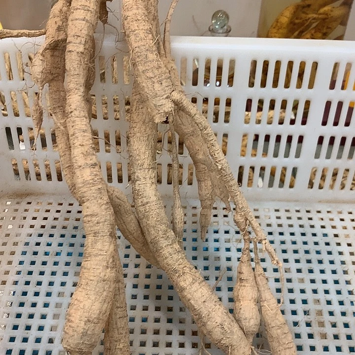 中国大陆笑串牛8