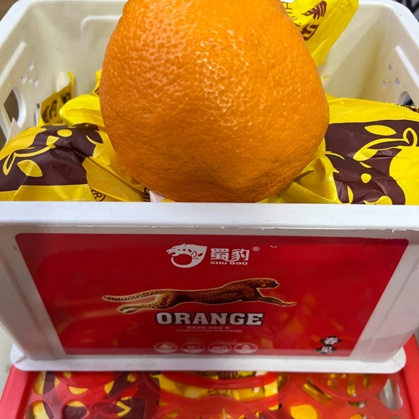 【蜀豹耙耙柑】大果耙耙柑（箱/毛重6-6.5斤）整件6-7颗装