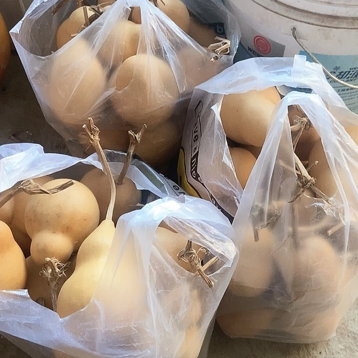 卖灯具的文静恭喜发财