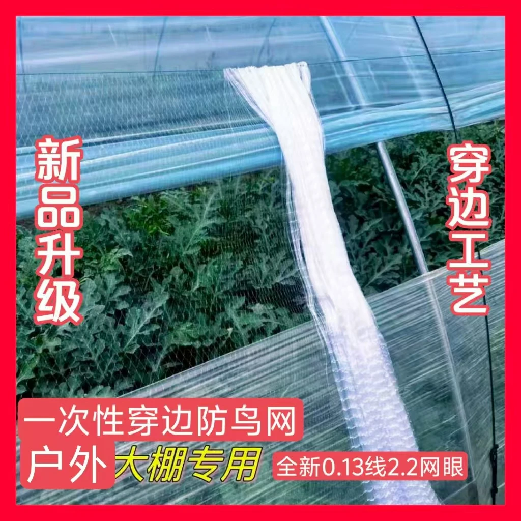 新型大棚通风口防鸟网稻田菜园排风口用天网农用大棚一次性防护网