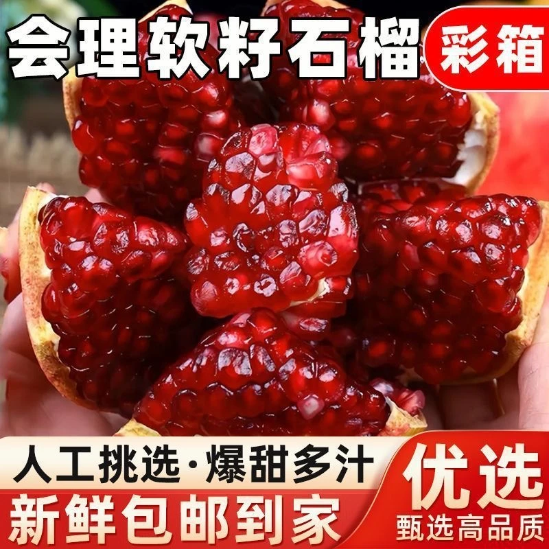 【邮政专属】正宗会理突尼斯软籽石榴爆甜红石榴新鲜石榴批发整箱