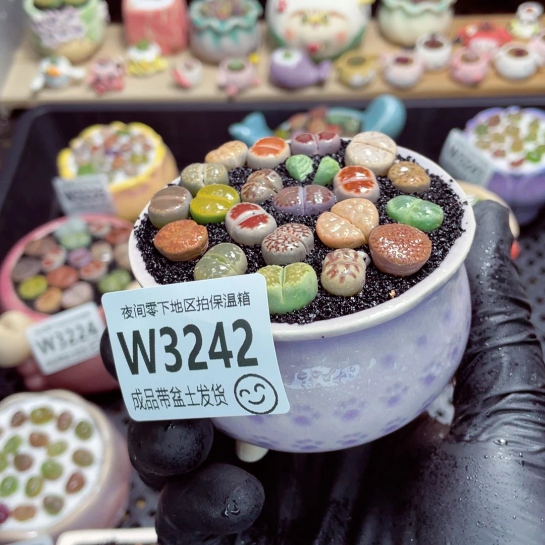 夜间零下地区拍保温箱w3242