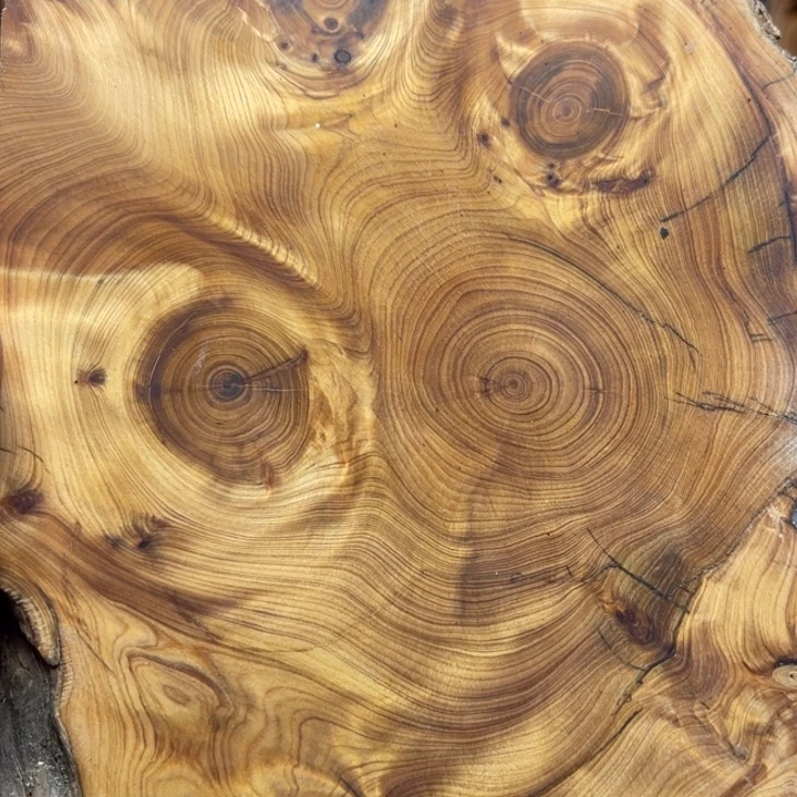 了***了柏木（崖柏）崖柏108