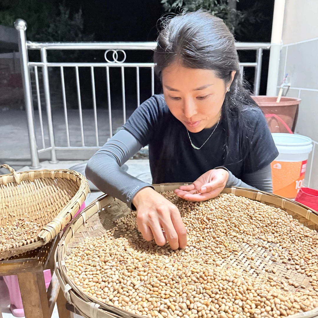 重庆忠县农村村民2025年新打米豆
