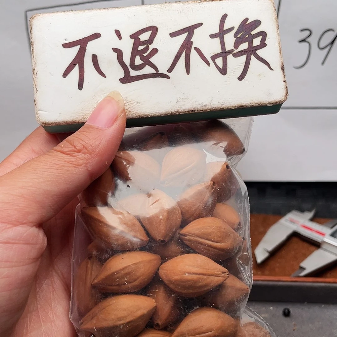 橄榄核手串/手链橄榄