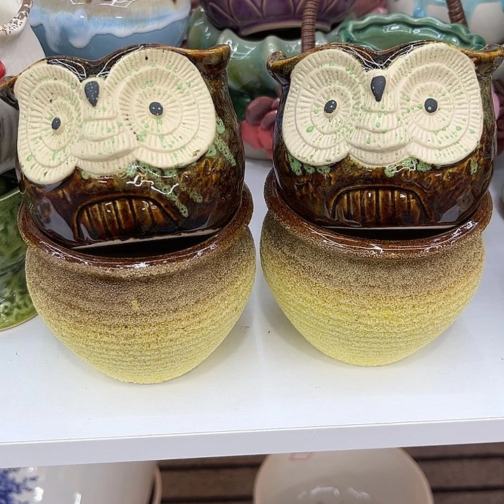 福利品！9.99包邮陶瓷花盆