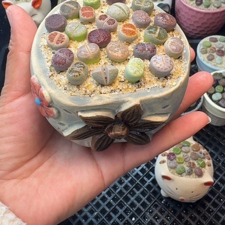 8007零下地区记得拍保温箱