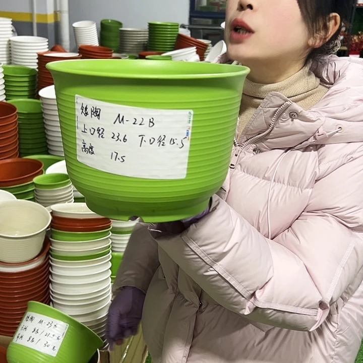 正品矮陶口23.6高17果绿6只无托