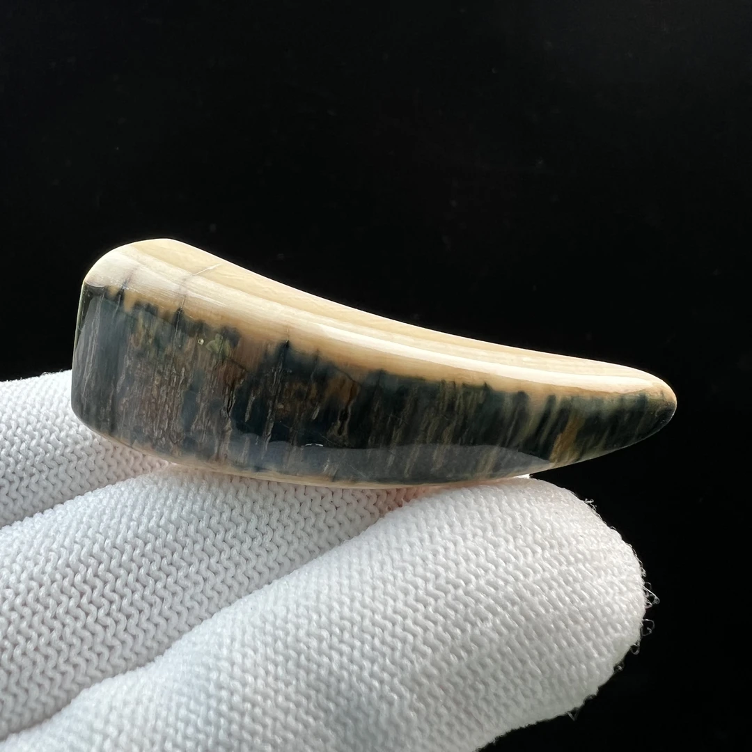 D3574然猛犸牙蓝皮 牙尖 18*54mm支持鉴定 假一罚四