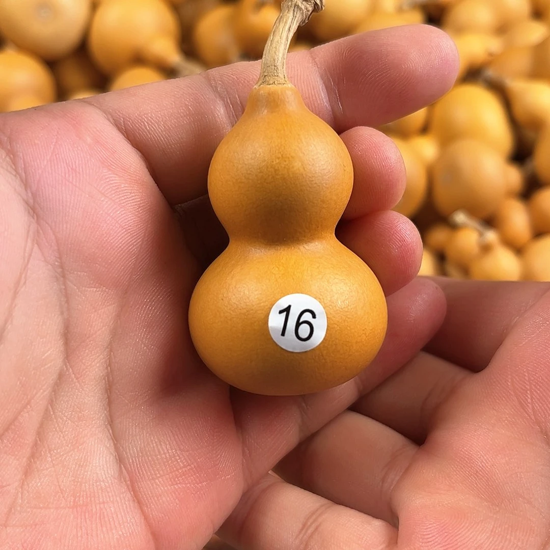 一葫芦葫芦葫芦葫芦葫芦16