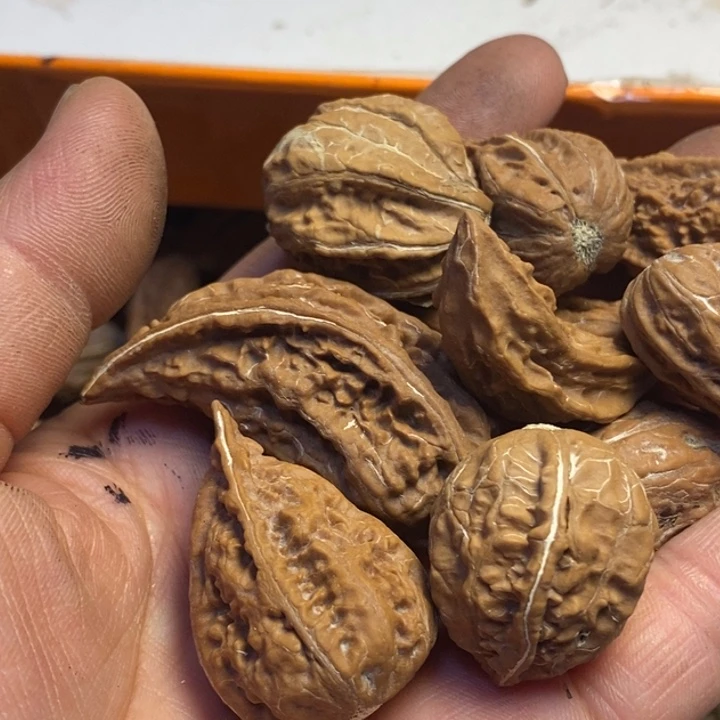 文玩核桃吊坠东北特产72