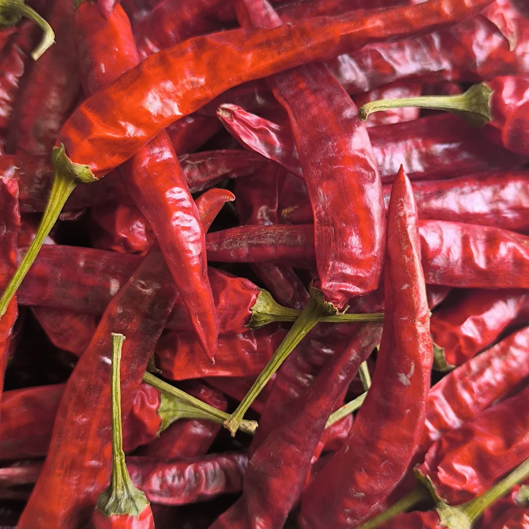 ［2025新椒石柱红］贵州干辣椒香辣艳椒高海拨特产