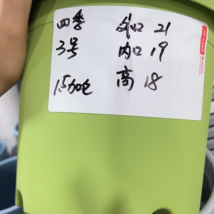 四季3号特价白色10个无托