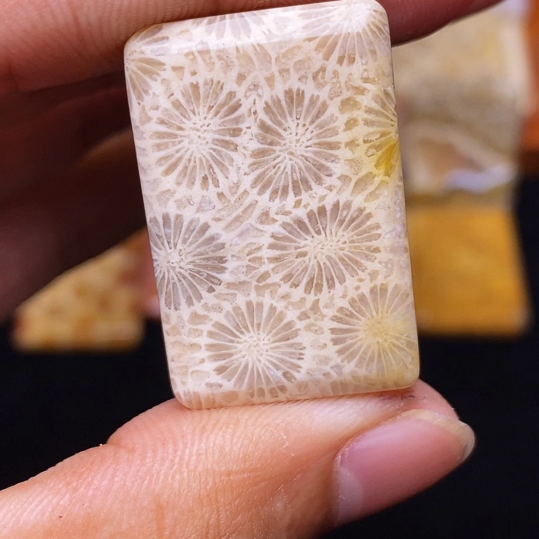 爱****硅化玉合金珊瑚玉