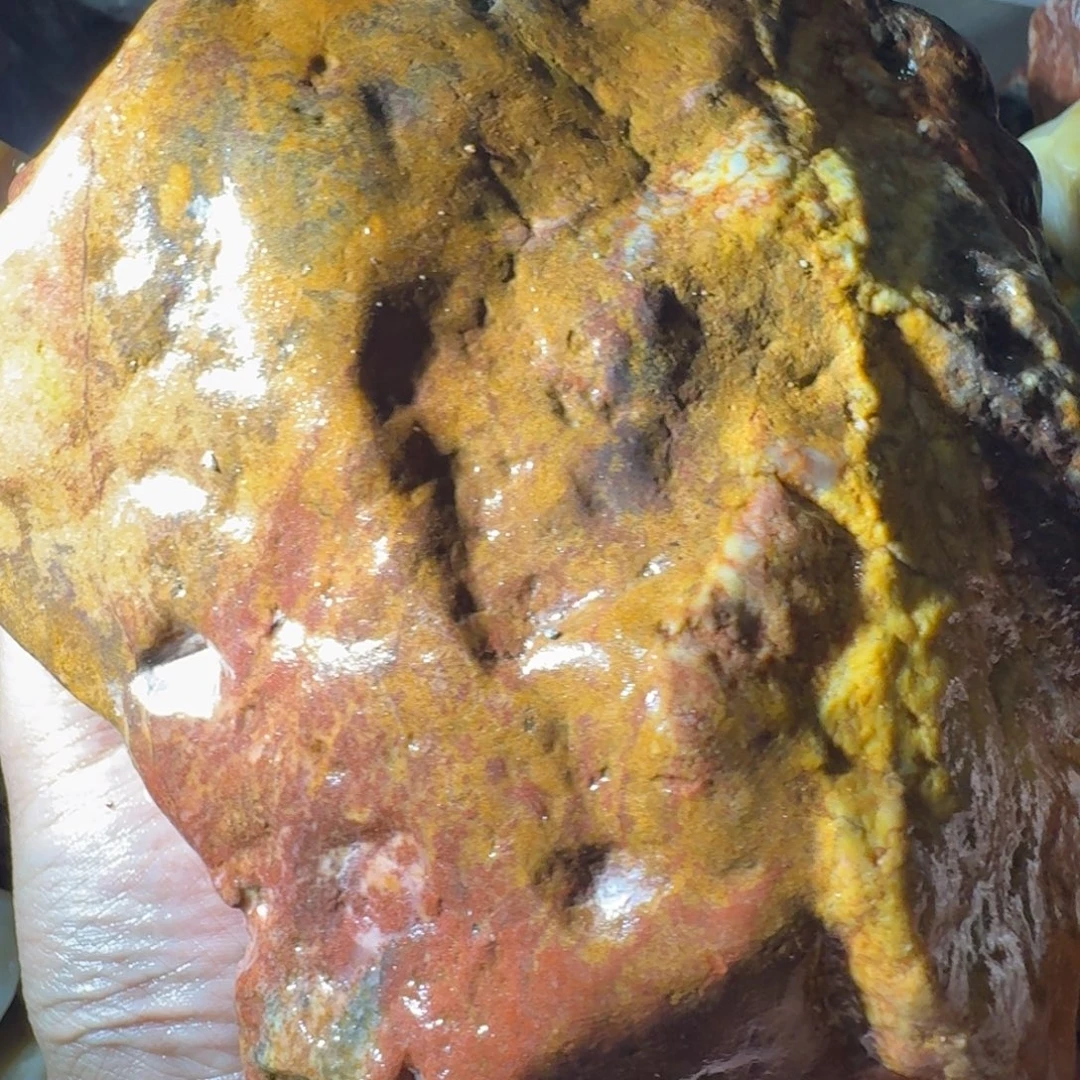 壶***秋寿山石99889998889999