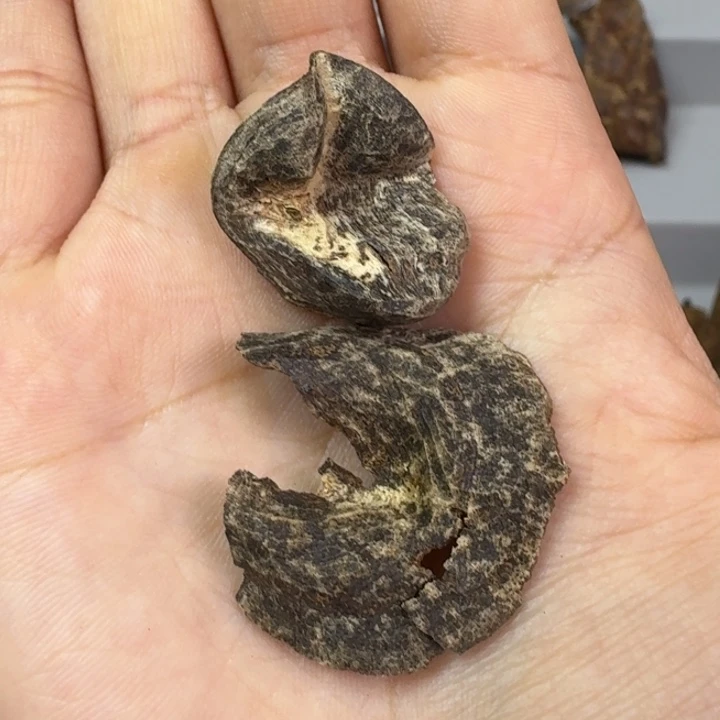 伟业海南沉水料1克