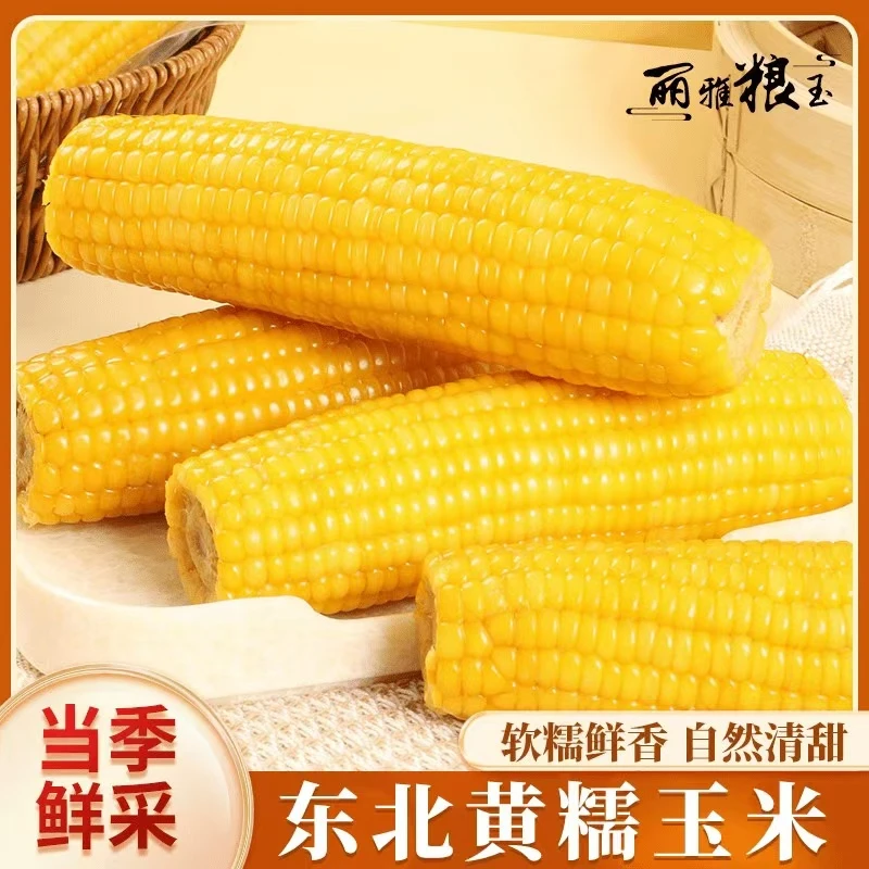 【整箱15根】东北黄糯玉米真空锁鲜产地直发整箱7.5-8斤(试吃4根)