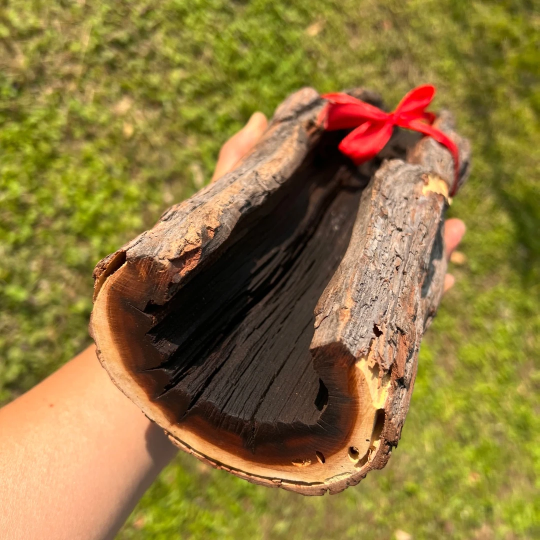 正品保真雷击枣木精品雷头枝摆件原木办公室居家摆件非金属