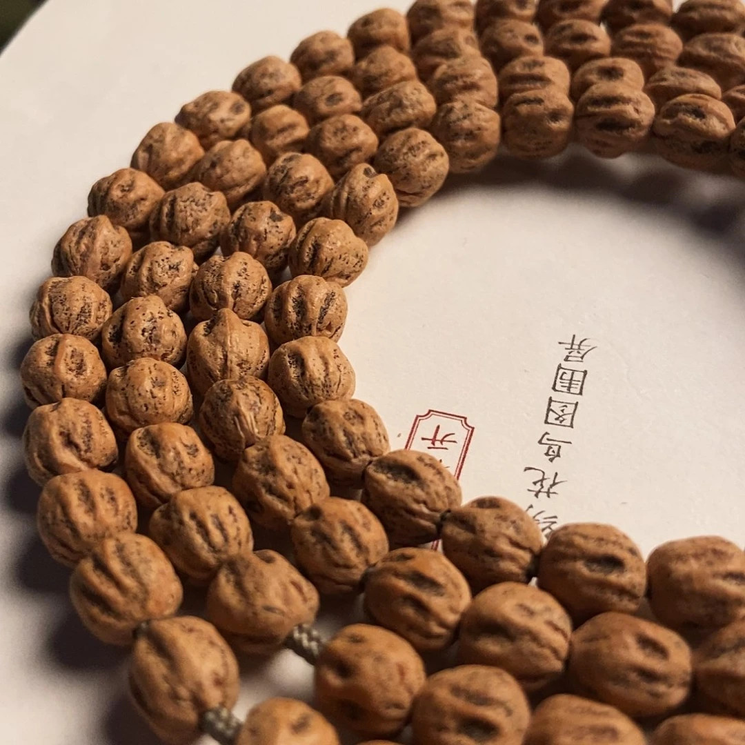 吊坠柏香籽/百香籽海盗