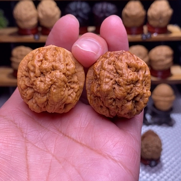 木质类血舍利70号