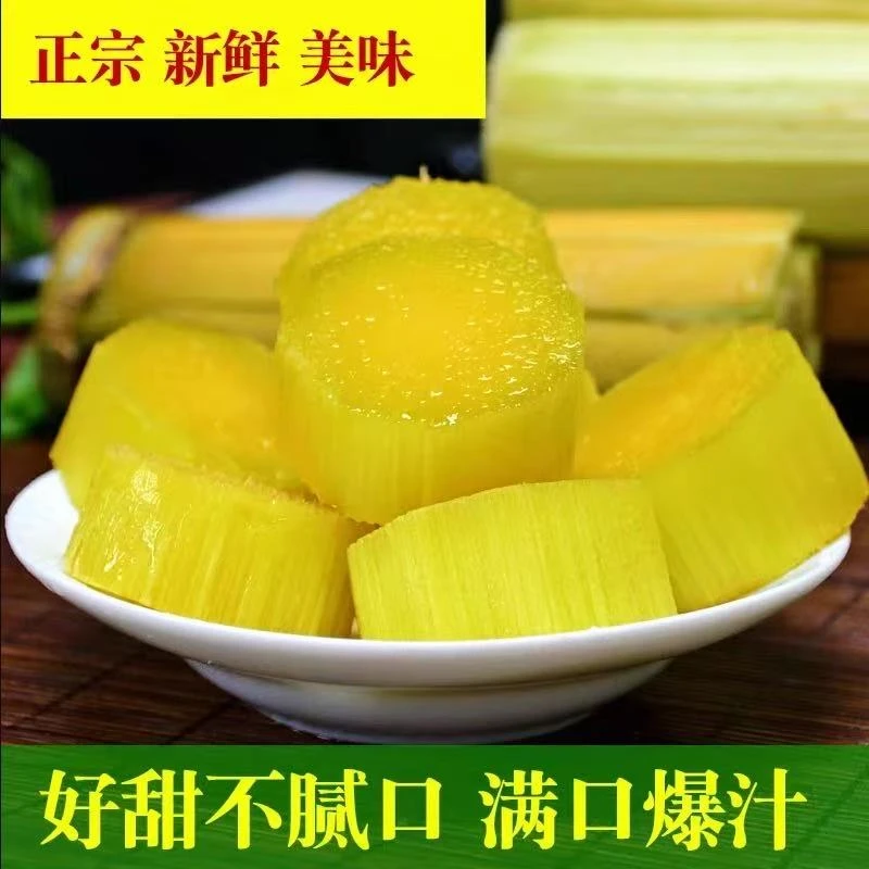 云南新鲜黄皮甘蔗农家自种水果脆甜多汁口感饱满