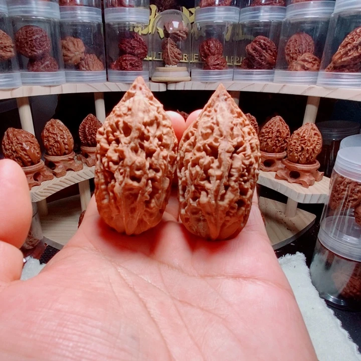 把件文玩核桃梅花刺