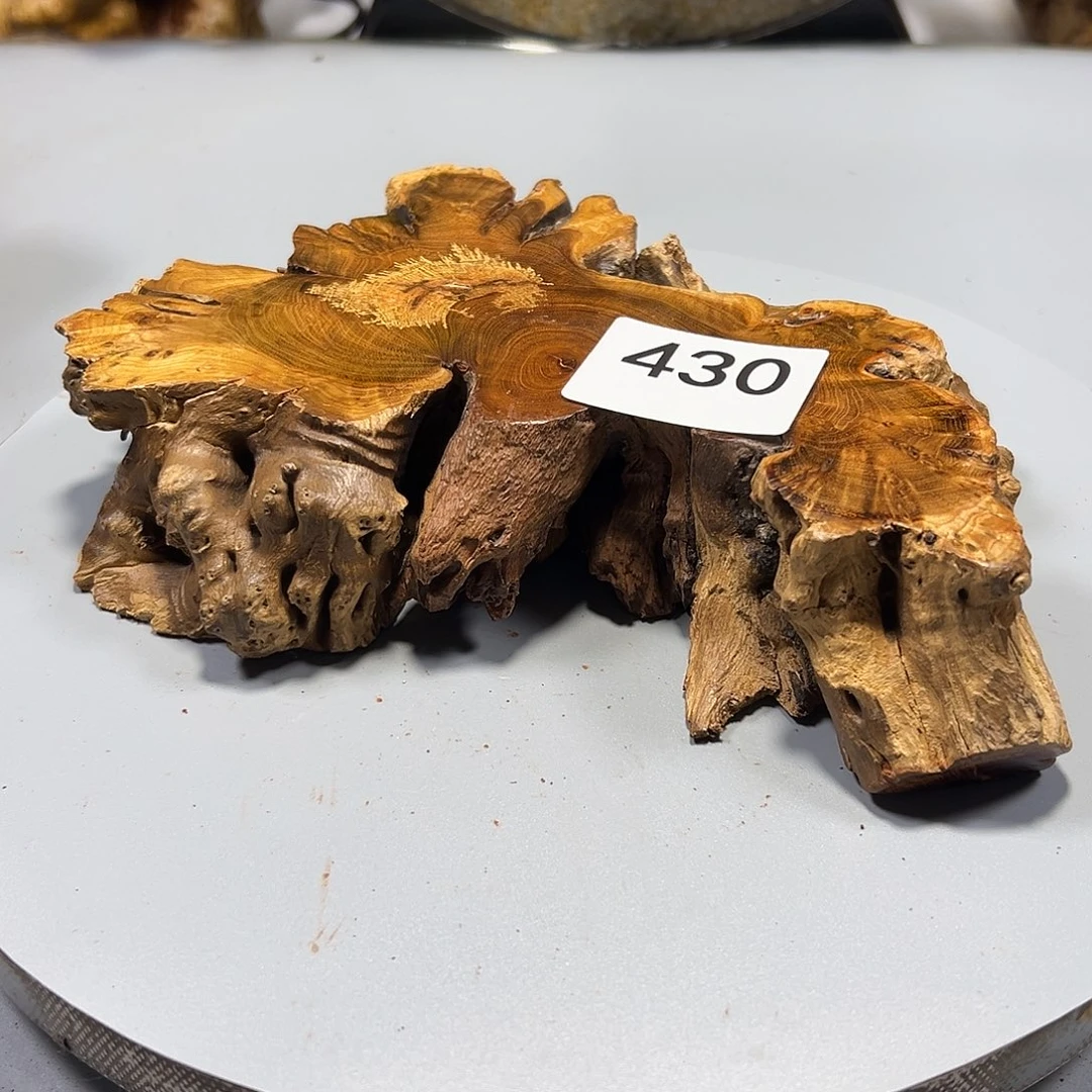 大果紫檀（缅甸花梨）小*河