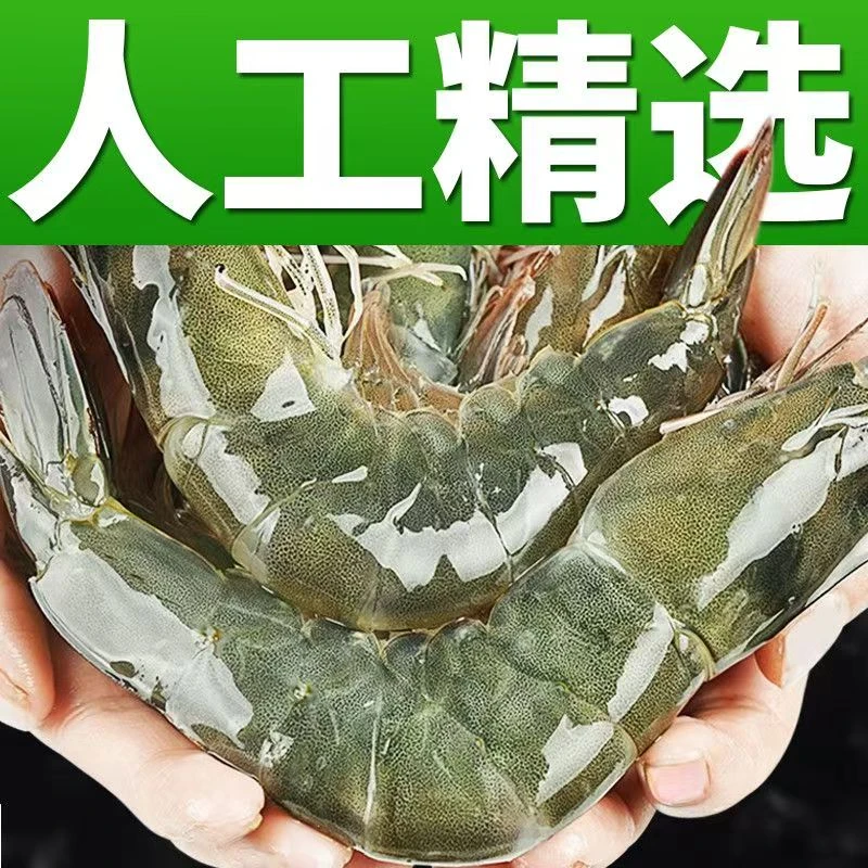 新鲜速冻30/40规格大虾新鲜大虾速冻肉质鲜嫩5发货