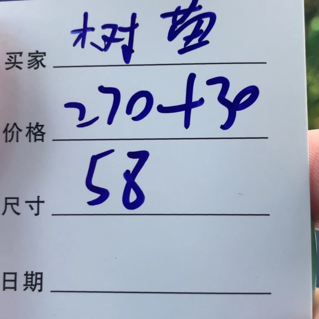 树***苗非金属所见皆所得