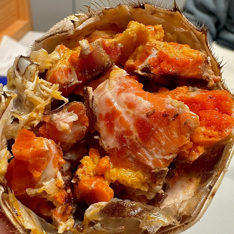 【活蟹现发】精挑3.0-2.7两公蟹2.0-1.7两母蟹8只送2只顺丰包邮