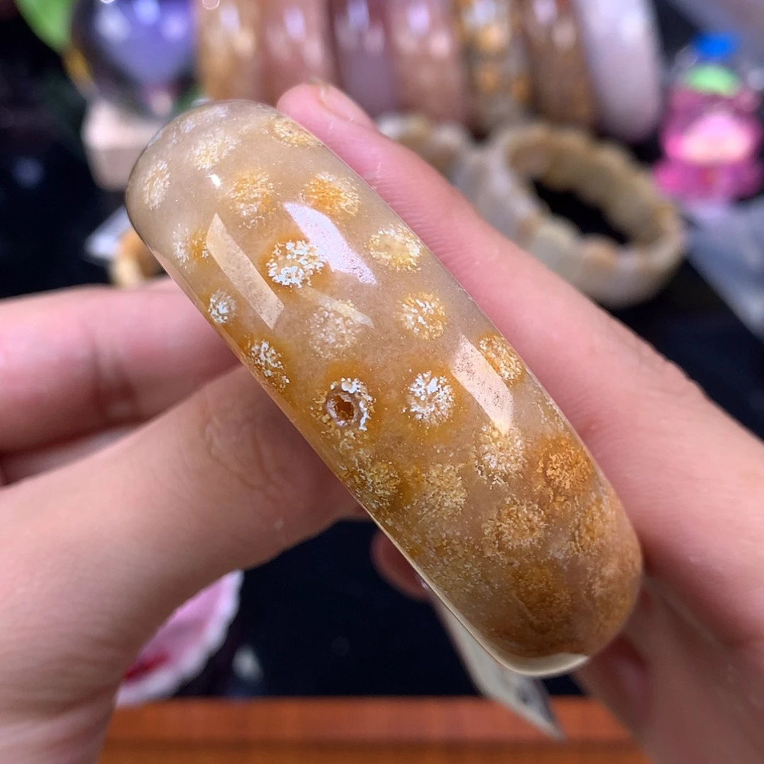 【闪购商品】颈饰未镶嵌硅化珊瑚（珊瑚玉）49号冰糖共生55.6圈