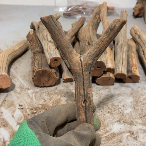 大果紫檀（缅甸花梨）夏*