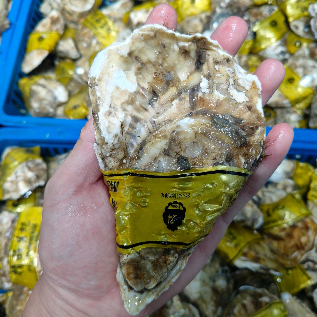 金标3+鲜活生蚝10个装 【以实际斤两为主】