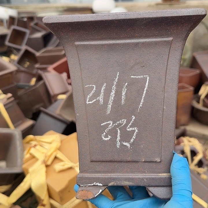 吃尺寸不小得那种大盘就不要