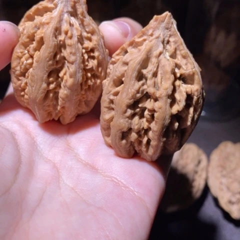 把件文玩核桃东北野生楸子小园 103