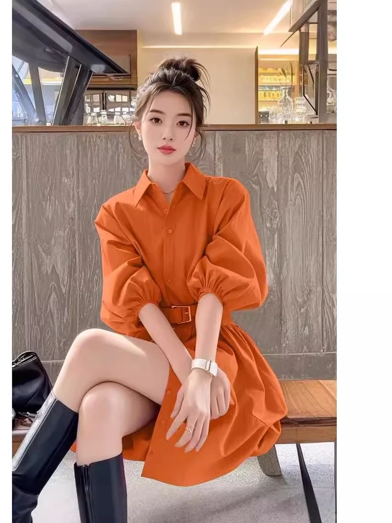 2025新款今年流行爆款连衣裙大码胖MM显瘦高级感穿搭衬衫裙春装