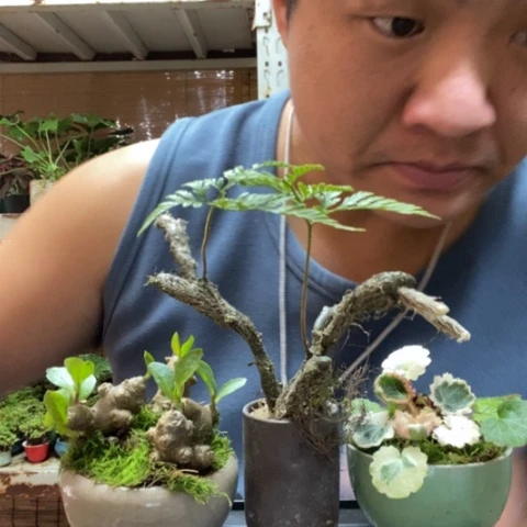 红陶涵**麻一物一拍所见即所得16