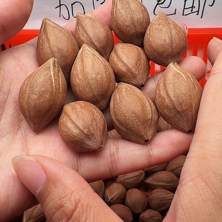 橄榄核手串/手链橄榄