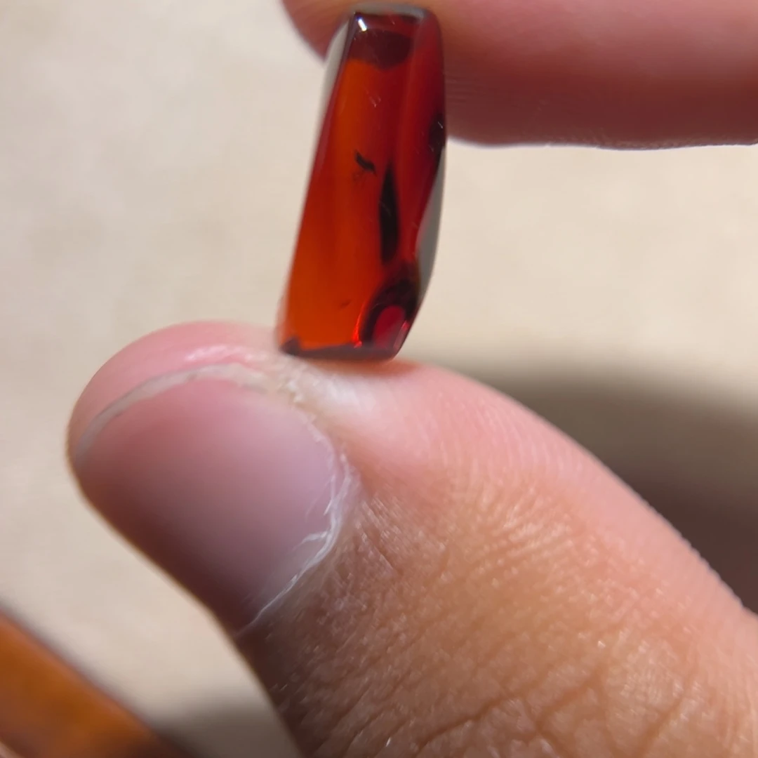 琥珀未镶嵌颈饰血虫珀（蚊子）