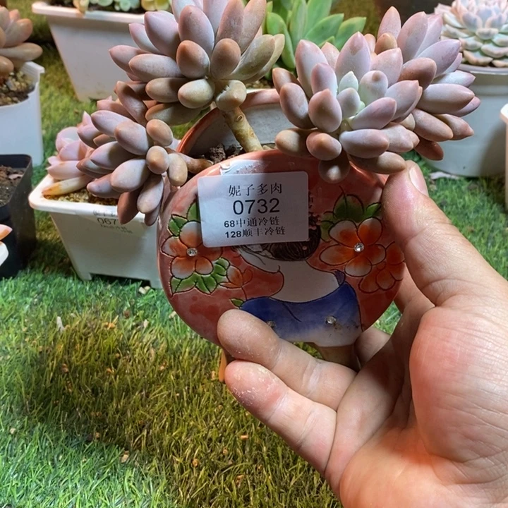 0732啊啊啊啊啊啊啊啊啊啊