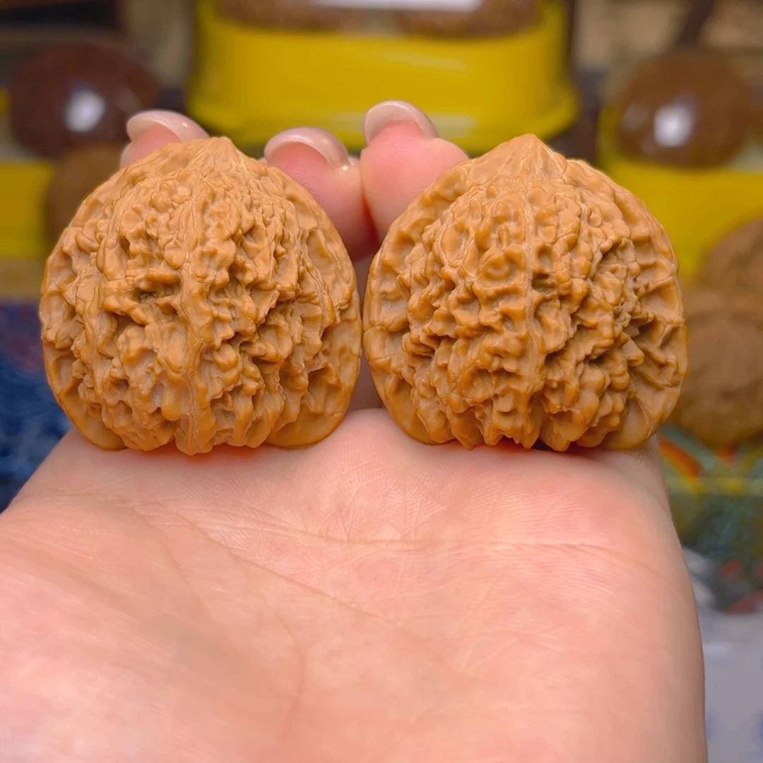 满天星狮子头三十七尺