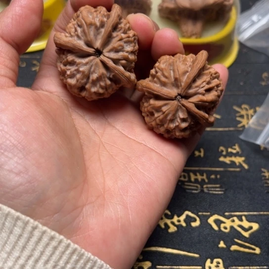 大***底玉玺三楞全品无修