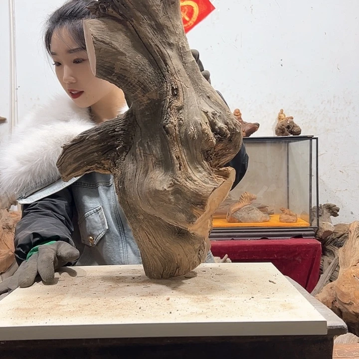 柏木根*石我们的生活也