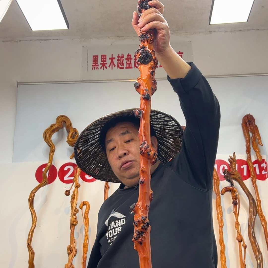 有***类黑果木其他黑果木126