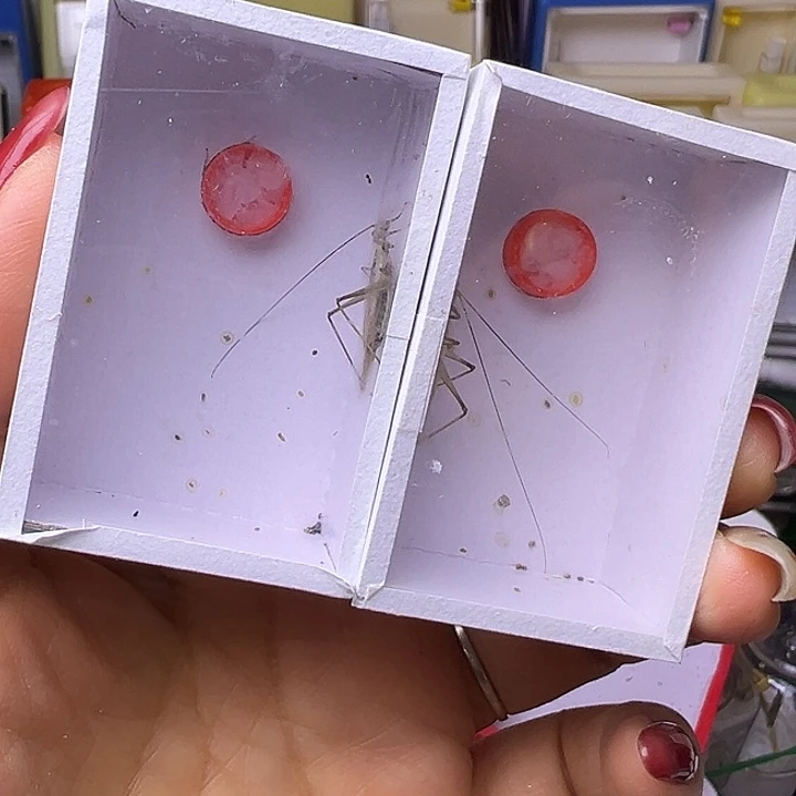 黑紫哈哈哈哈哈哈哈哈哈哈