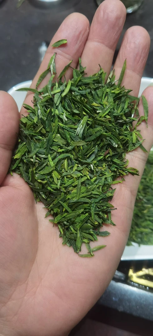 明前雀舌茶片绿茶嫩芽浓香型春茶新茶