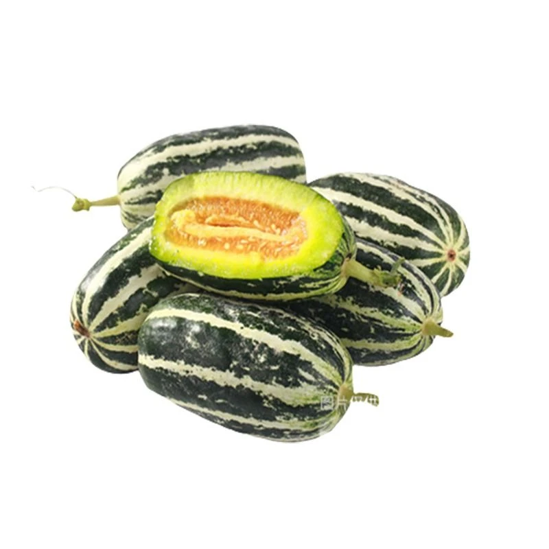 博洋蜜瓜9号约450-500g/份